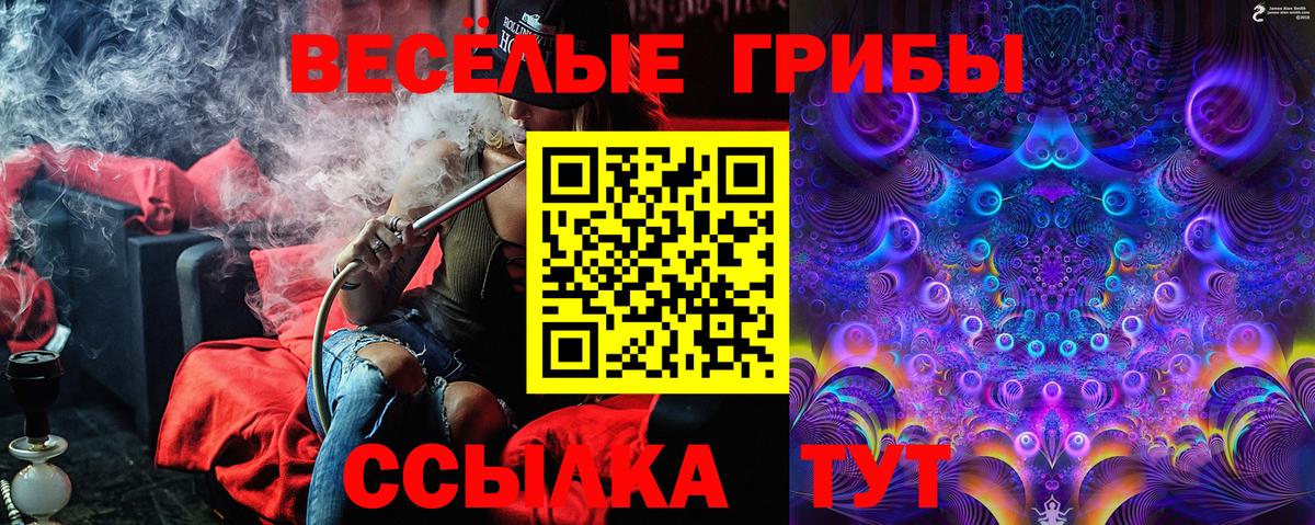 Вольск  Псилоцибиновые грибы прущие грибы  Вход с VPN  Псилоцибиновые грибы ЛСД 